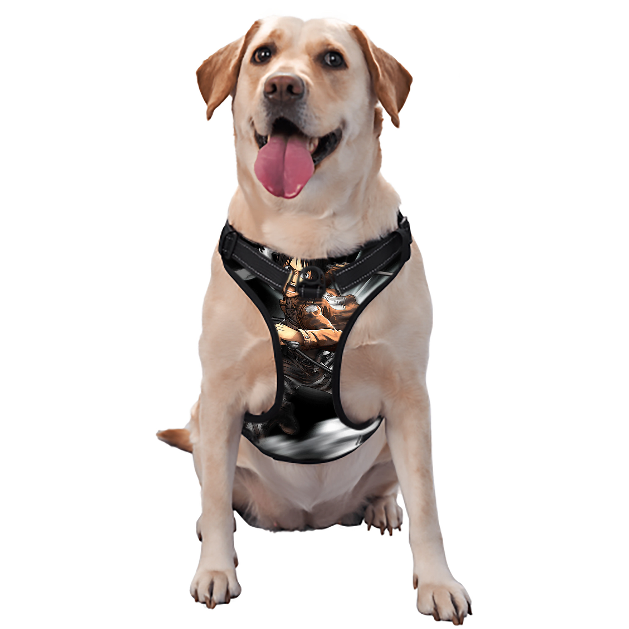 （画像用） 進撃の巨人 エレン･イェーガー Attack on Titan Eren Jäger ペット用ハーネス